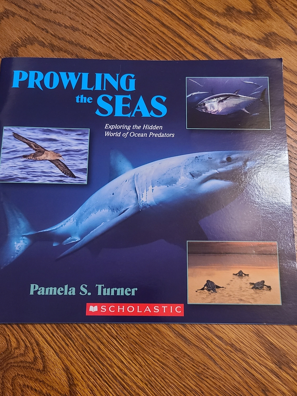 Prowling the Seas By Pamela S. Turner